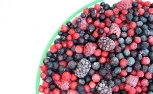 Fresh vs Frozen, Which is Better and Why?
