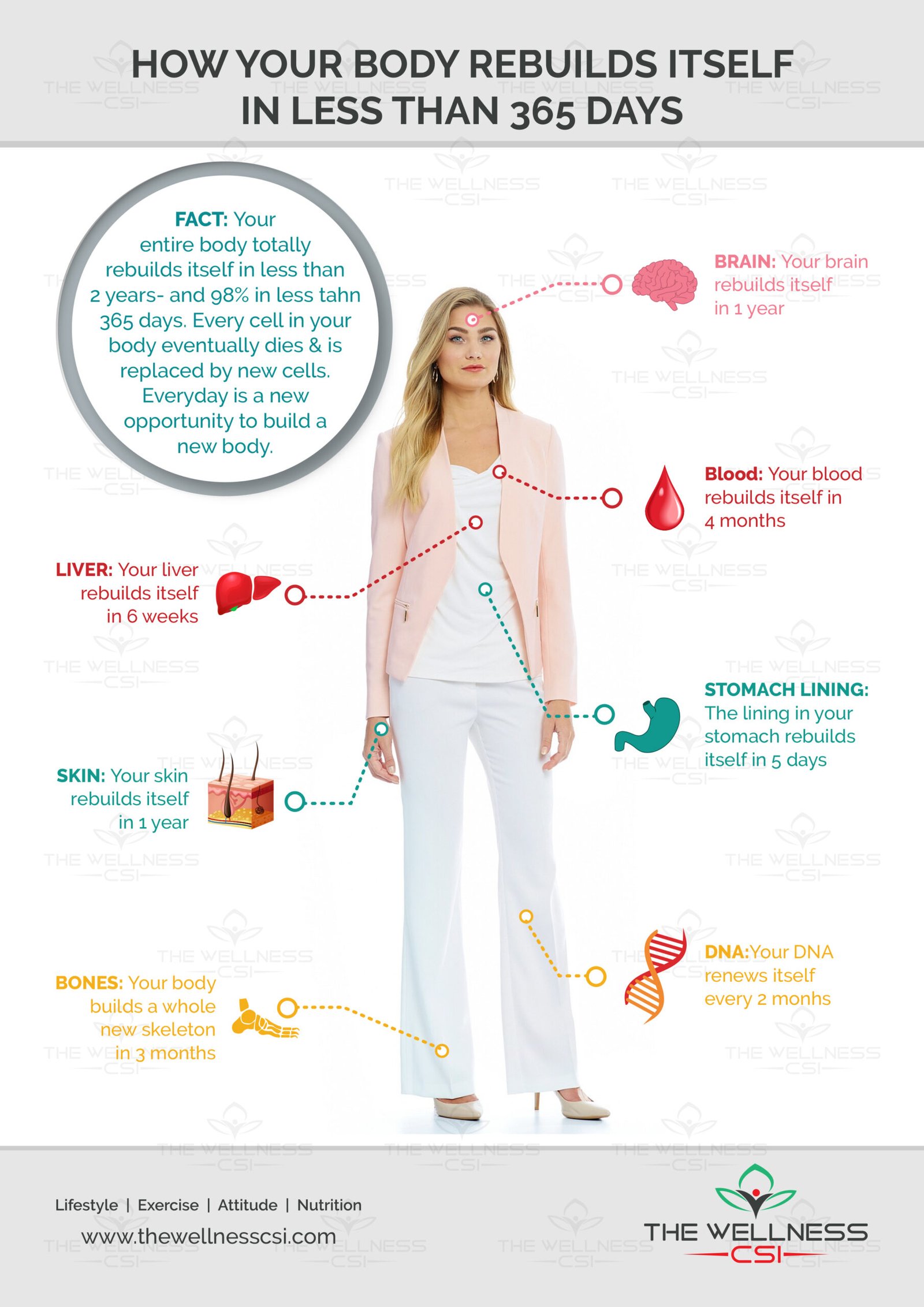Wellness-CSI-Infographics-2-1