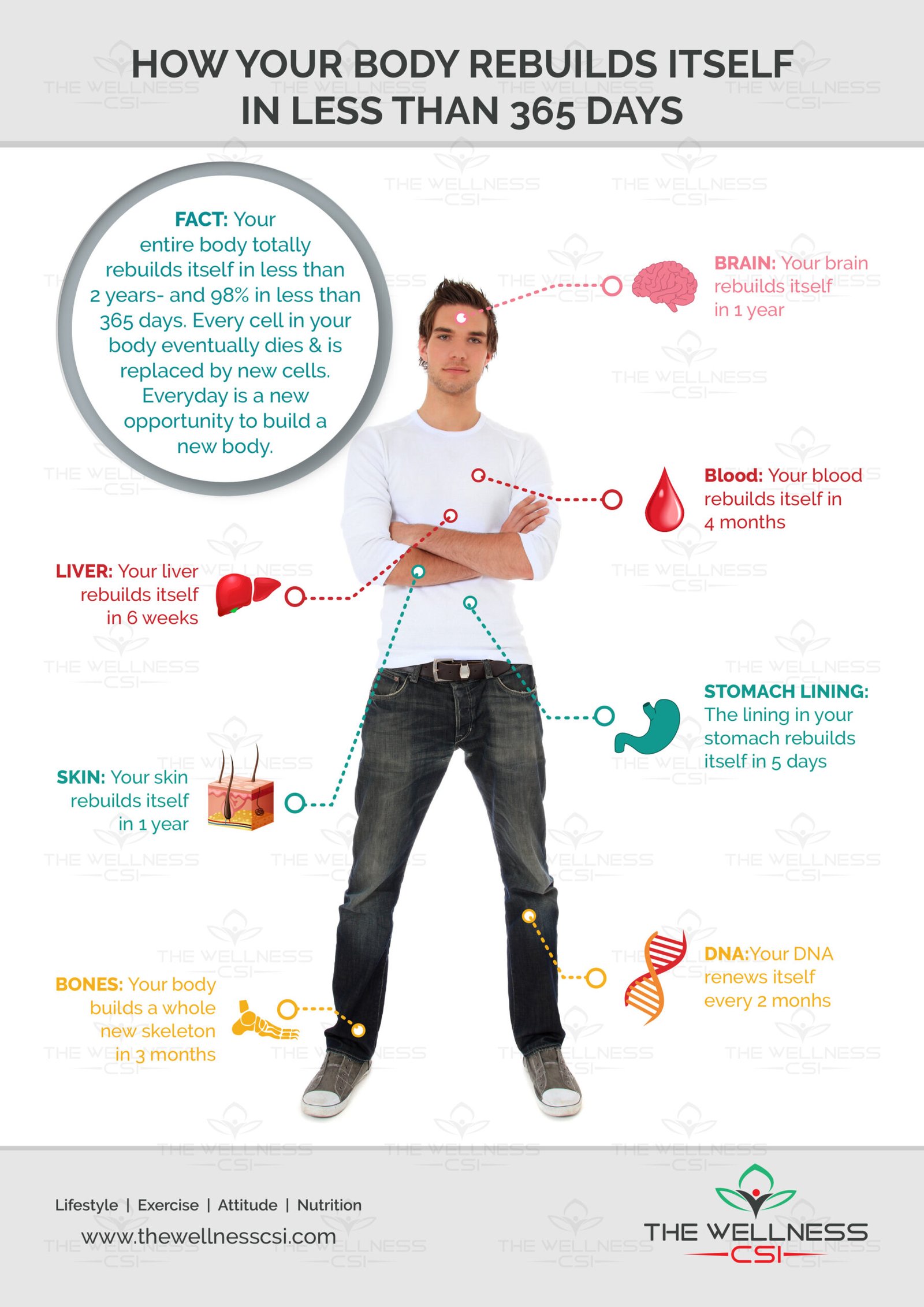 Wellness CSI Infographics 2