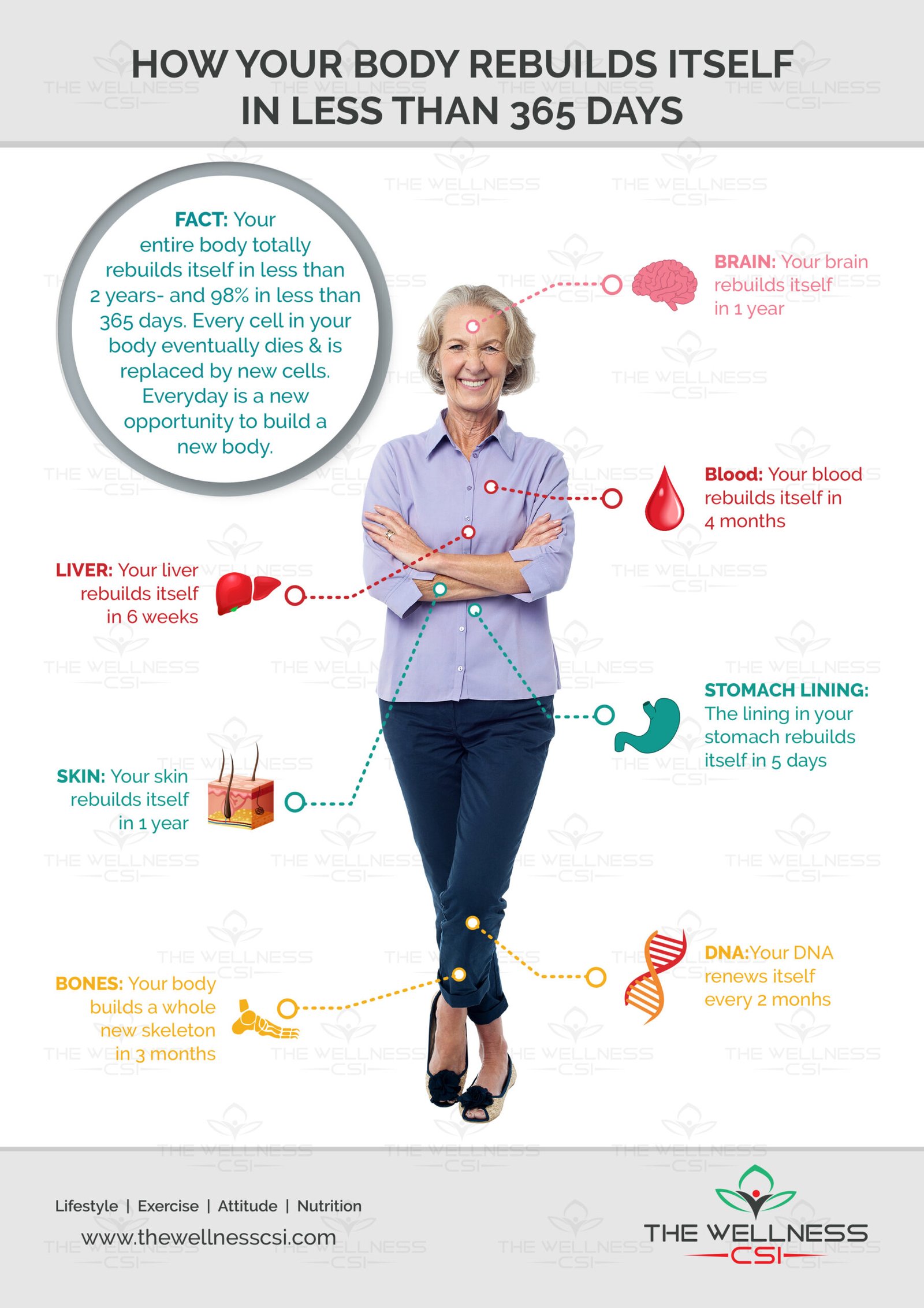 Wellness CSI Infographics1